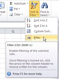 Excel format sort and filter