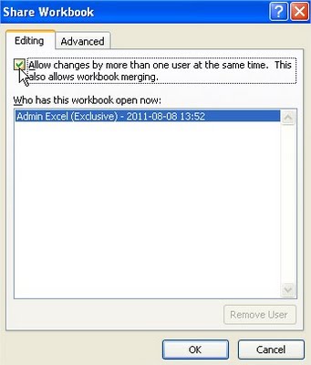 Share Workbook dialog box allow changes