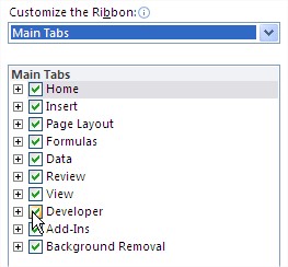 Excel Options Developer checkbox Developer