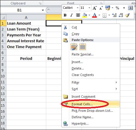 Amortization format cells