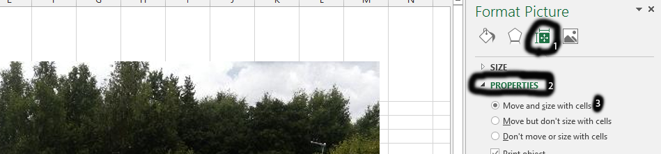 Excel insert pictures properties