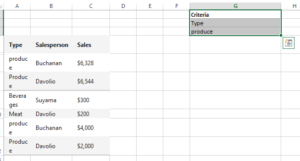 How to Use the Double Filter in Excel to Filter Data by Multiple ...