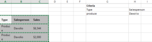 How to Use the Double Filter in Excel to Filter Data by Multiple ...